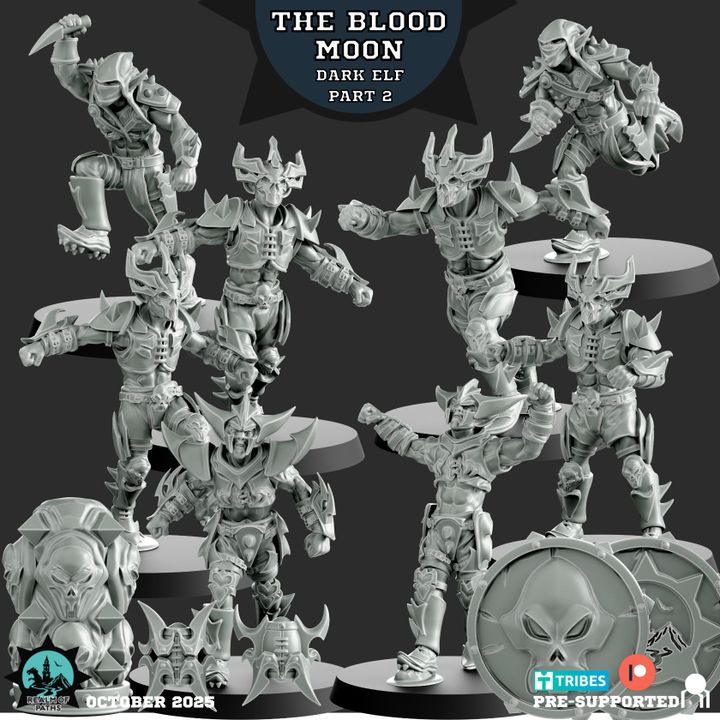 The Blood Moon – Dark Elves – High Quality Miniatures for Fantasy Football Game – Realm of Paths