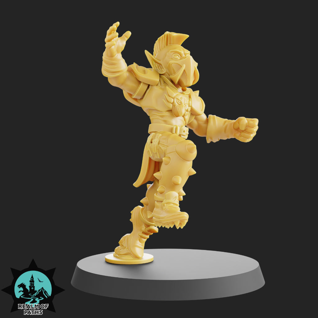 The Birds Team - 15 High-Quality 3D Print High Elf Miniatures | Blood Fantasy Football Bowl | Realm of Paths