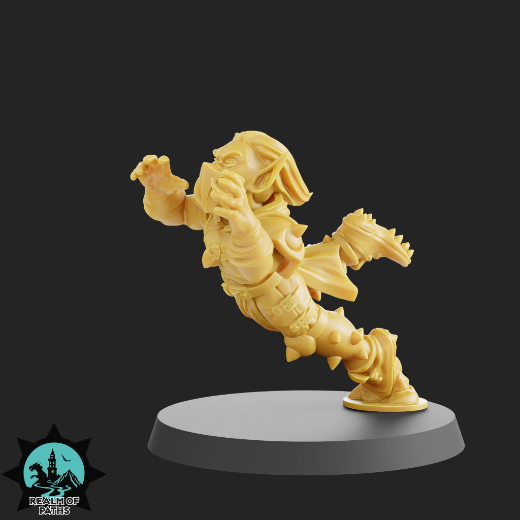 The Birds Team - 15 High-Quality 3D Print High Elf Miniatures | Blood Fantasy Football Bowl | Realm of Paths