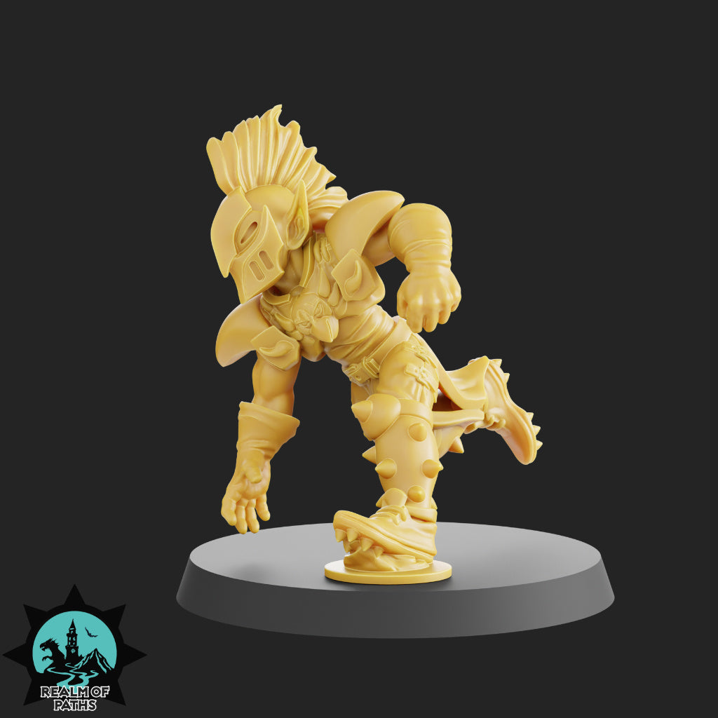 The Birds Team - 15 High-Quality 3D Print High Elf Miniatures | Blood Fantasy Football Bowl | Realm of Paths