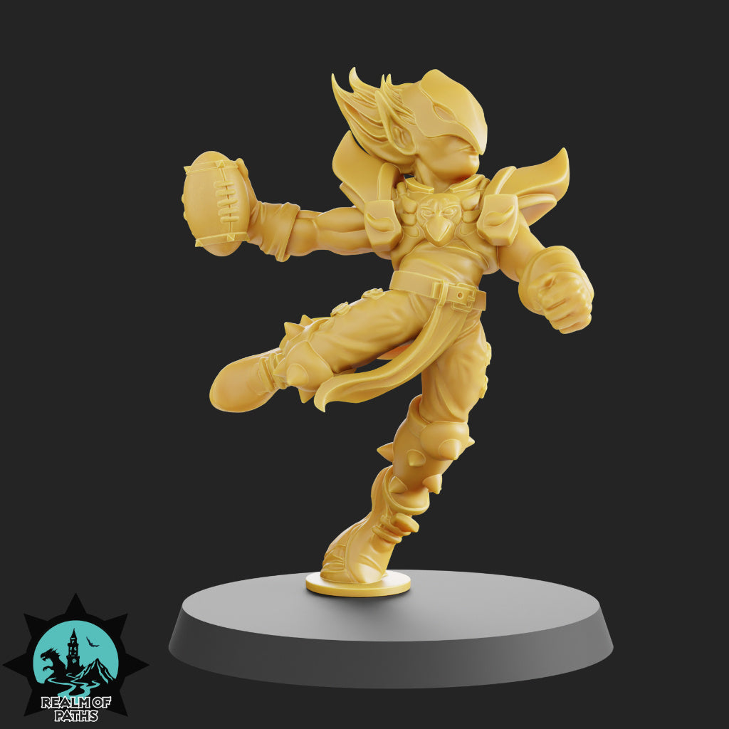The Birds Team - 15 High-Quality 3D Print High Elf Miniatures | Blood Fantasy Football Bowl | Realm of Paths