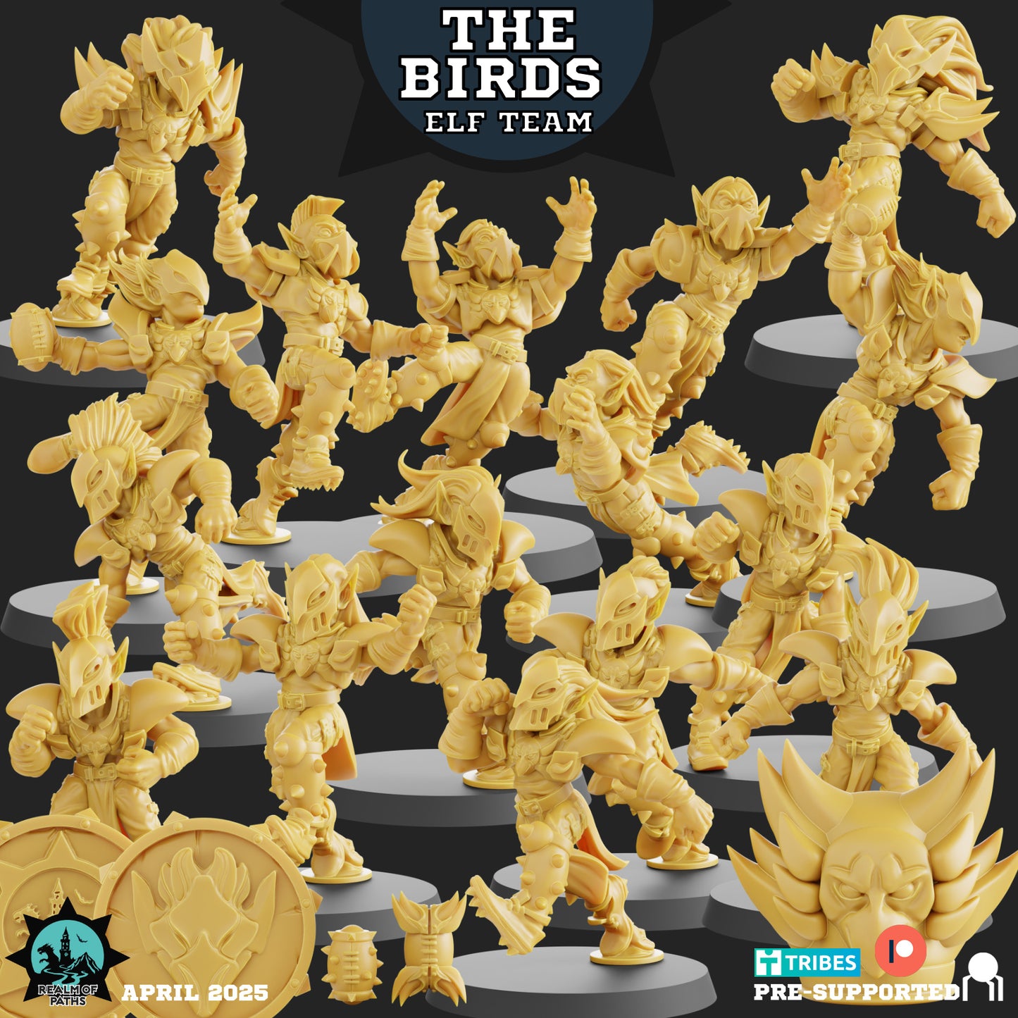 The Birds Team - 15 High-Quality 3D Print High Elf Miniatures | Blood Fantasy Football Bowl | Realm of Paths