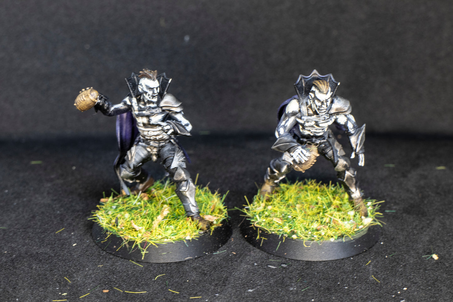Painted Vampire Bloody Kingdom Team + Feldherr Bag for Fantasy Football Realm of paths