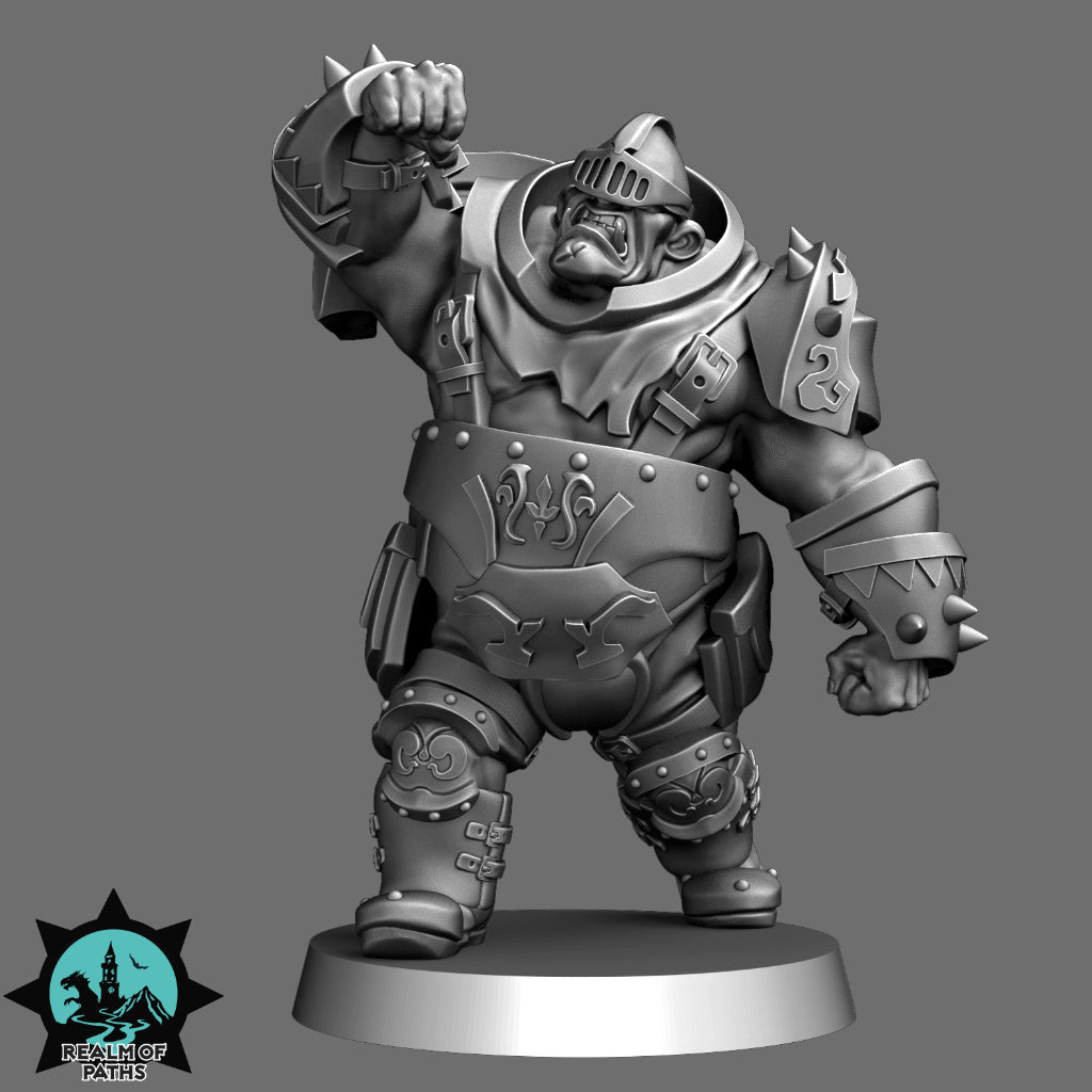 Human Noble Knight – Human Team for Fantasy Football Miniature Game - 24 High Quality Miniatures – Realm of Paths