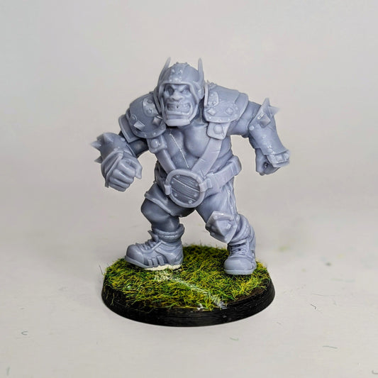 Human Team Full team Staff & Star Players included (30 Models bases included) - Fantasy Football Team - Guild Bowl - UGNI - TheMajorLab