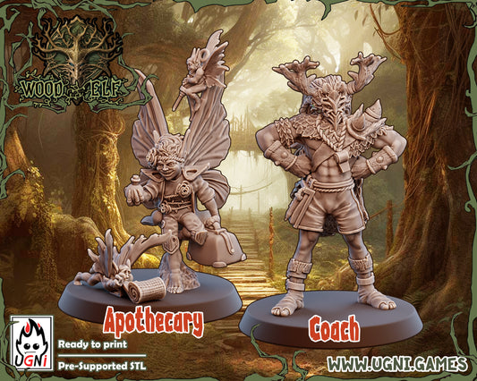 Wood Elf Elves Coach Apothecary UGNI Miniatures - TheMajorLab