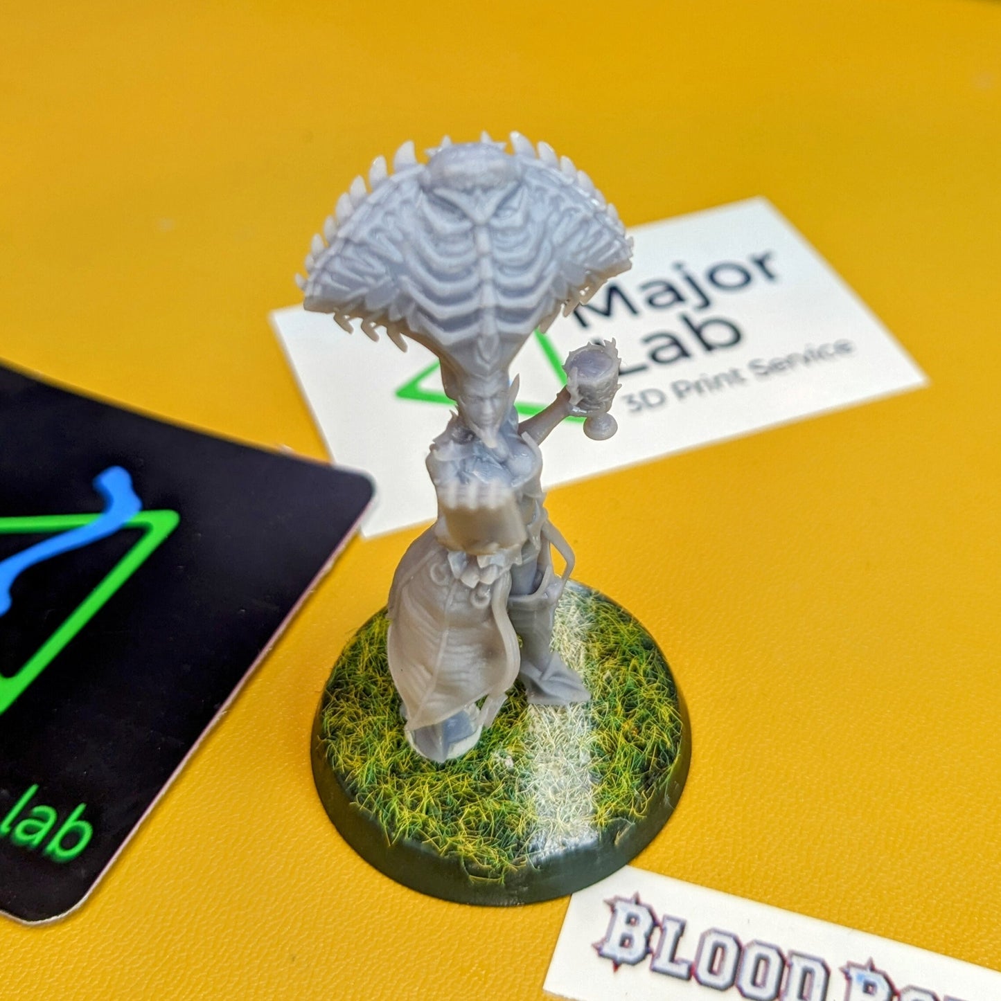 Vampire Coach Miniature - UGNI Miniatures - TheMajorLab