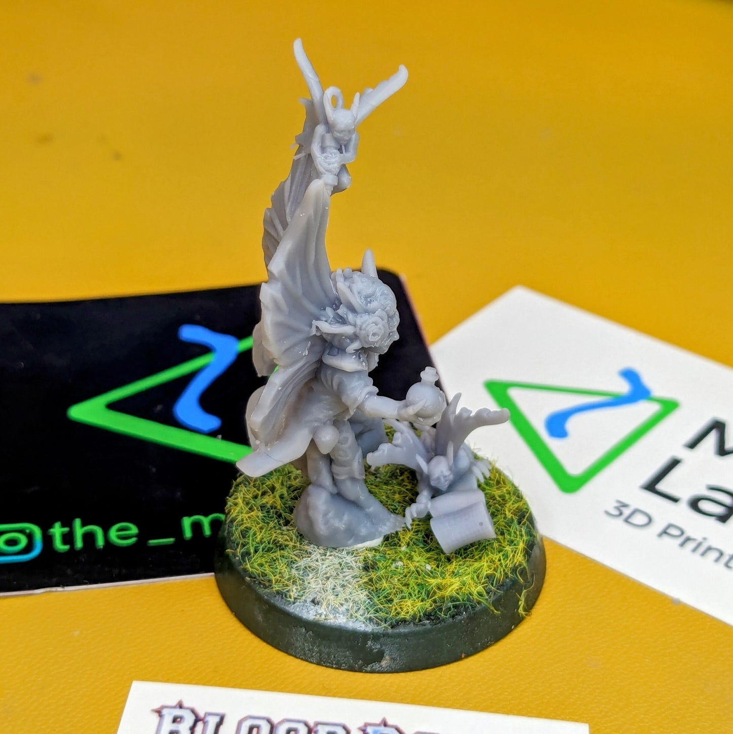 Wood Elf Elves Coach Apothecary UGNI Miniatures - TheMajorLab