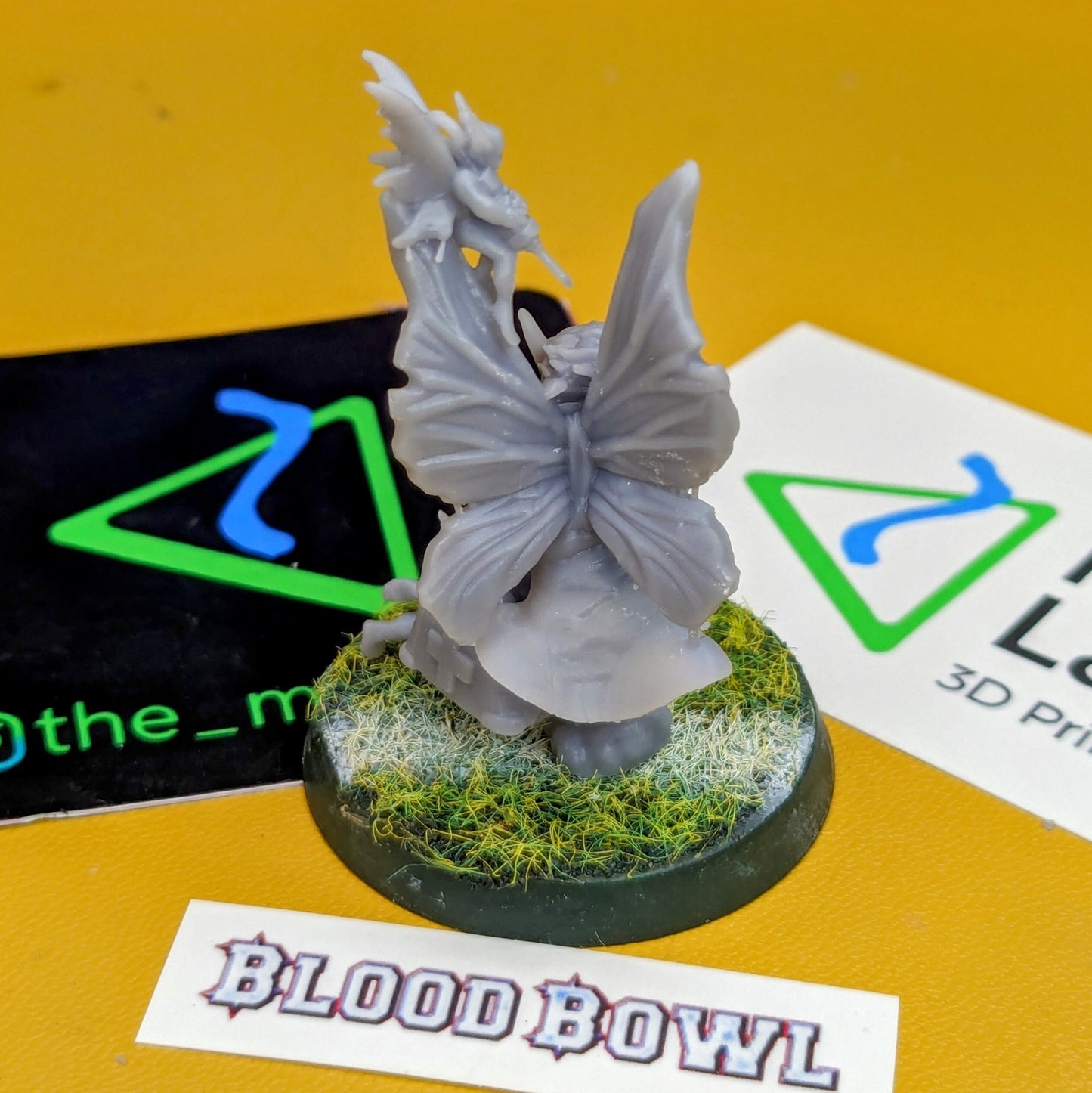 Wood Elf Elves Coach Apothecary UGNI Miniatures - TheMajorLab