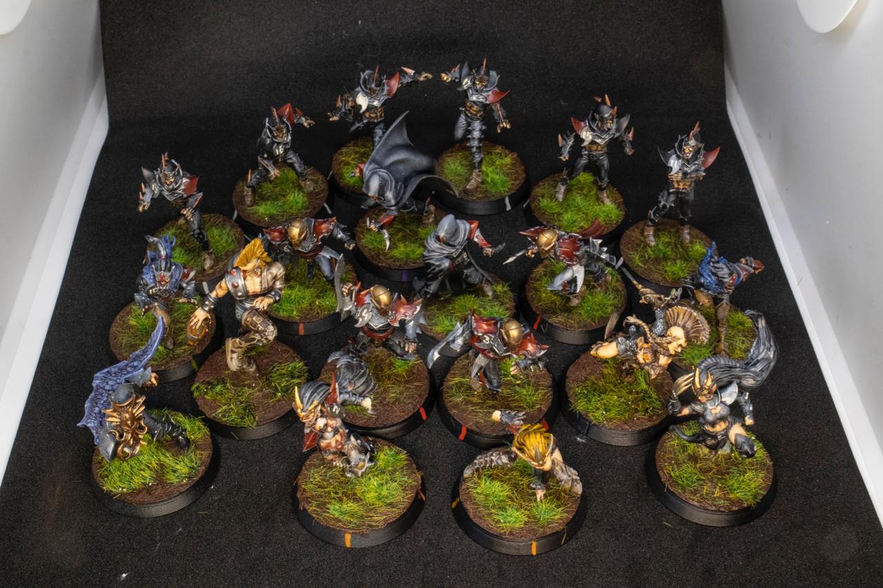Painted Dark Elves Team with Star Players Blood Fantasy Football Bowl Brutefun Miniatures