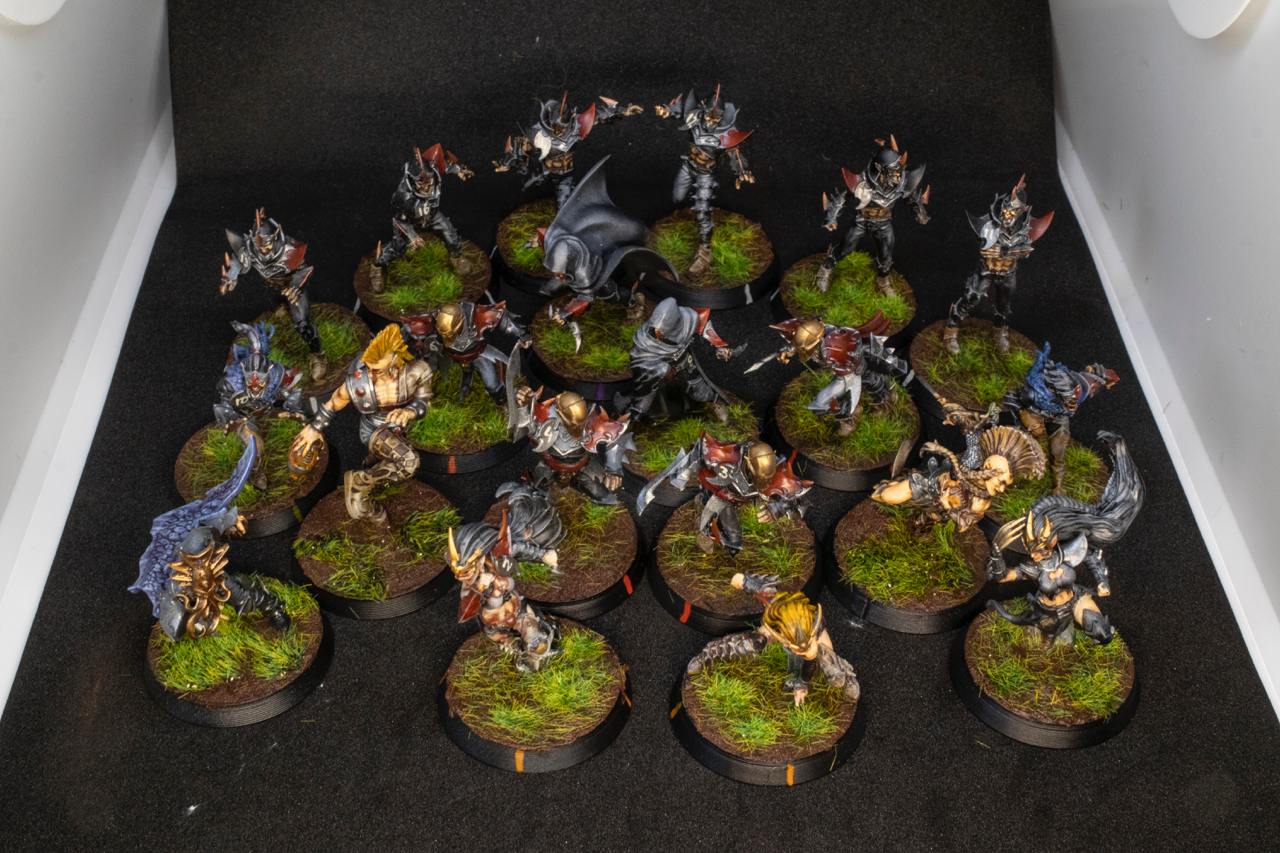 Painted Dark Elves Team with Star Players Blood Fantasy Football Bowl Brutefun Miniatures