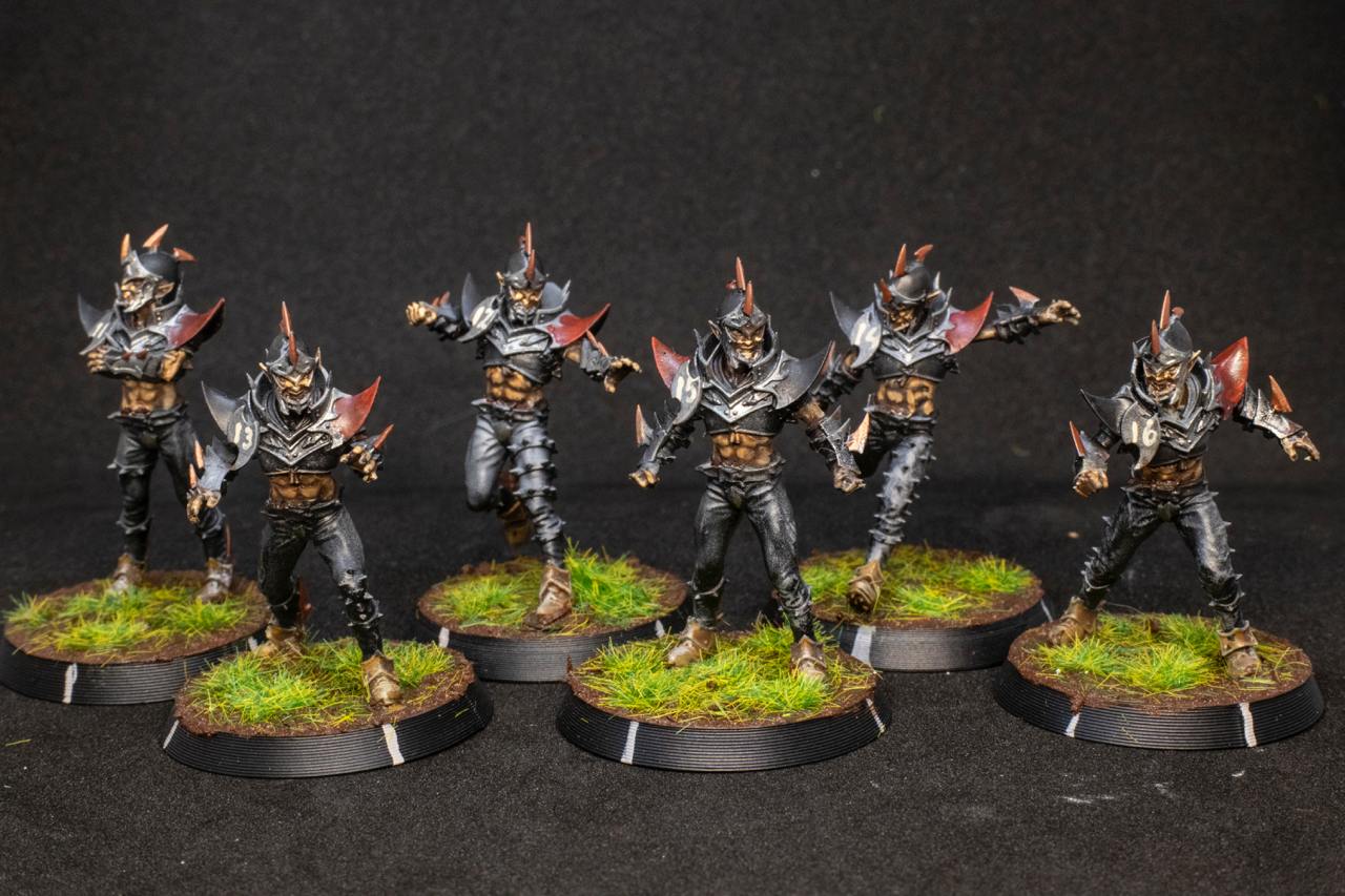 Painted Dark Elves Team with Star Players Blood Fantasy Football Bowl Brutefun Miniatures