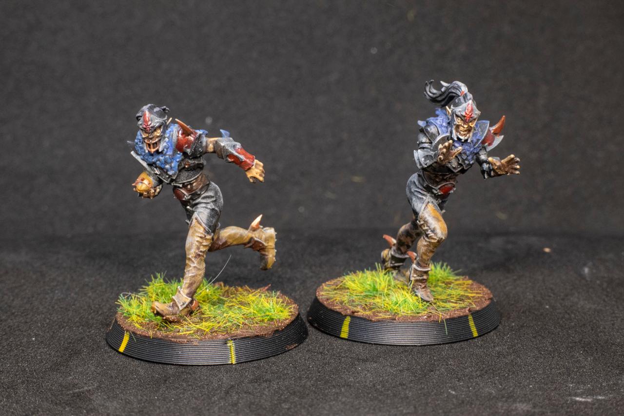 Painted Dark Elves Team with Star Players Blood Fantasy Football Bowl Brutefun Miniatures