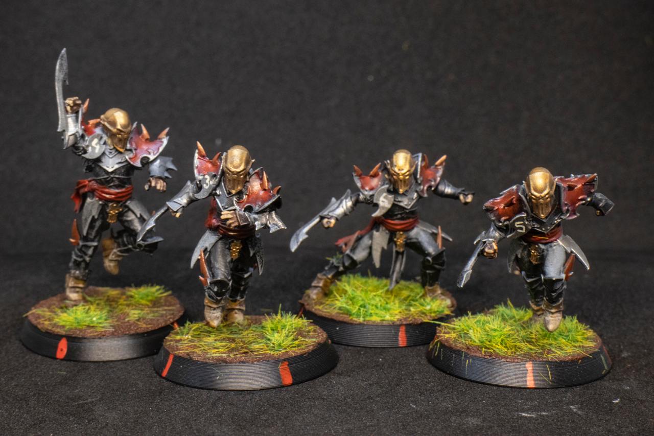 Painted Dark Elves Team with Star Players Blood Fantasy Football Bowl Brutefun Miniatures