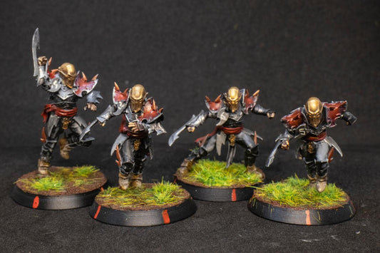 Painted Dark Elves Team with Star Players Blood Fantasy Football Bowl Brutefun Miniatures