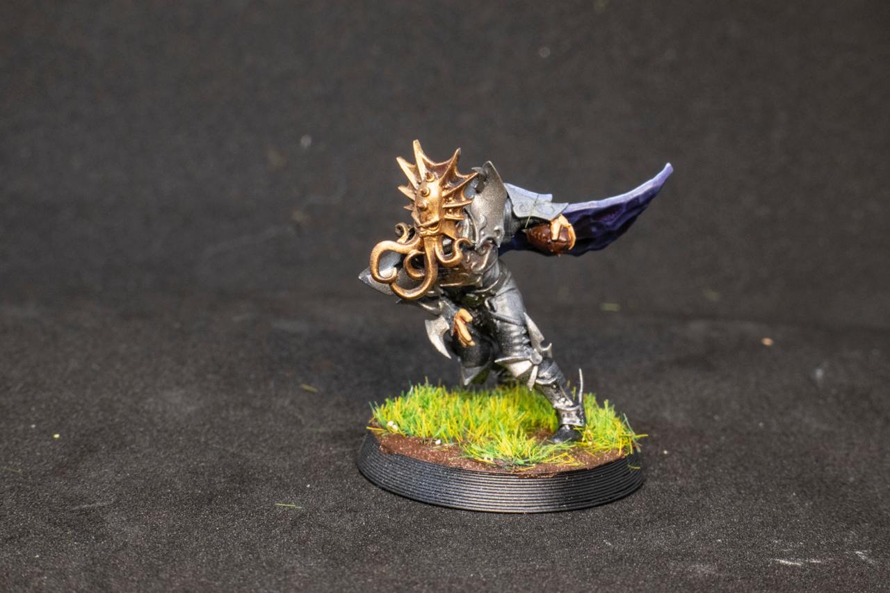 Painted Dark Elves Team with Star Players Blood Fantasy Football Bowl Brutefun Miniatures