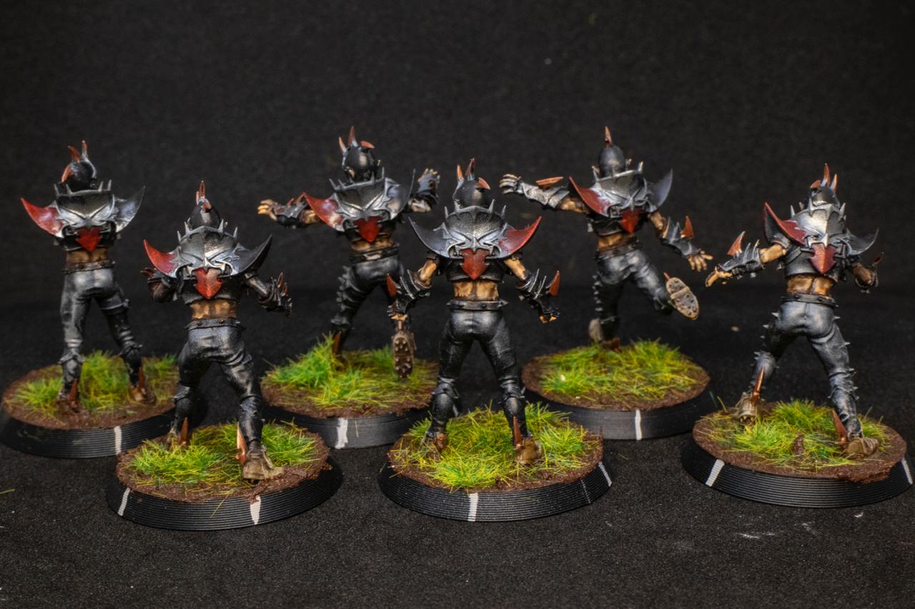 Painted Dark Elves Team with Star Players Blood Fantasy Football Bowl Brutefun Miniatures