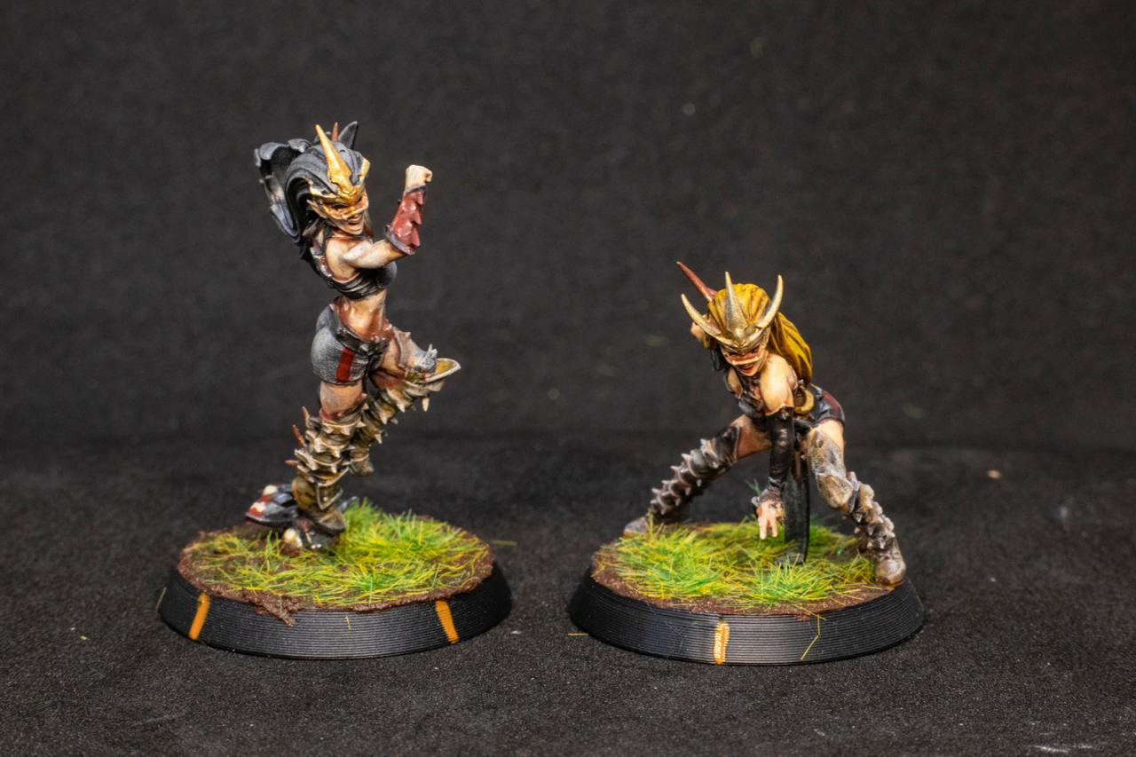 Painted Dark Elves Team with Star Players Blood Fantasy Football Bowl Brutefun Miniatures