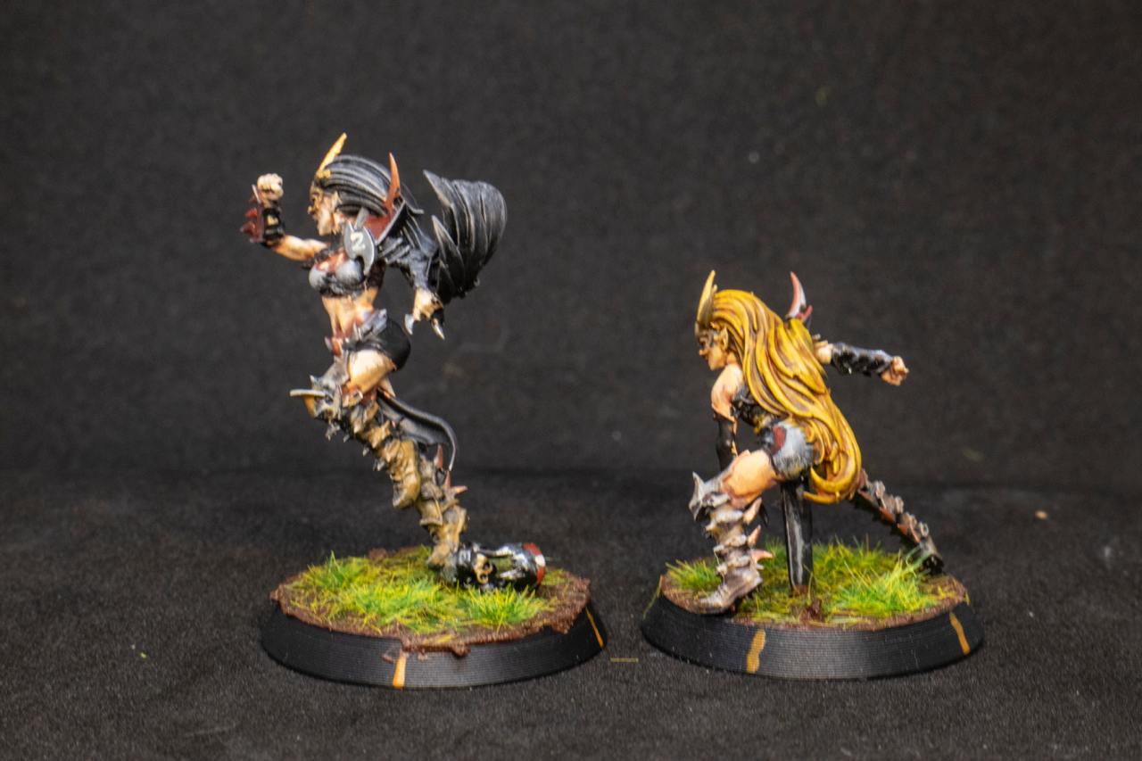 Painted Dark Elves Team with Star Players Blood Fantasy Football Bowl Brutefun Miniatures