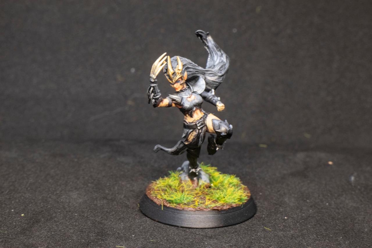 Painted Dark Elves Team with Star Players Blood Fantasy Football Bowl Brutefun Miniatures