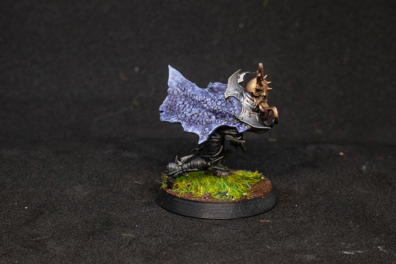 Painted Dark Elves Team with Star Players Blood Fantasy Football Bowl Brutefun Miniatures