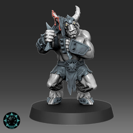Abyss Warriors The Inferno | 16 Miniatures | Chaos Beastmen Team | Fantasy Football Bowl | Realm of paths
