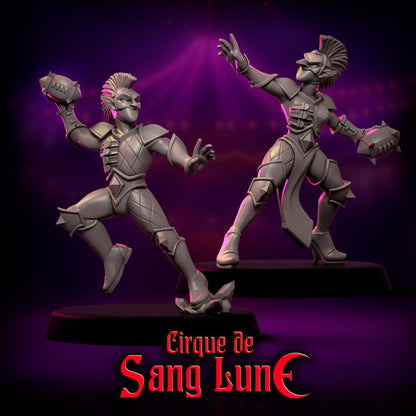 Cirque de Sang Lune Dark Elves Fantasy Football Team 20 High Quality Miniatures Punga