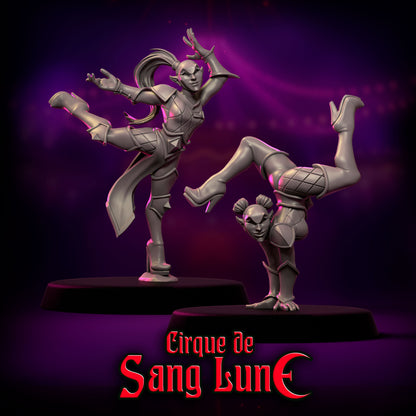 Cirque de Sang Lune Dark Elves Fantasy Football Team 20 High Quality Miniatures Punga