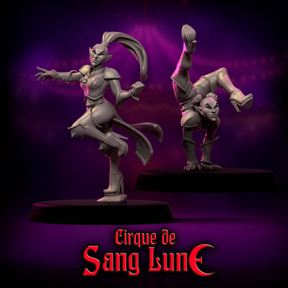 Cirque de Sang Lune Dark Elves Fantasy Football Team 20 High Quality Miniatures Punga