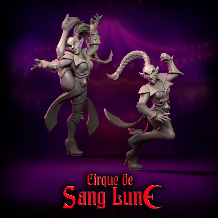 Cirque de Sang Lune Dark Elves Fantasy Football Team 20 High Quality Miniatures Punga