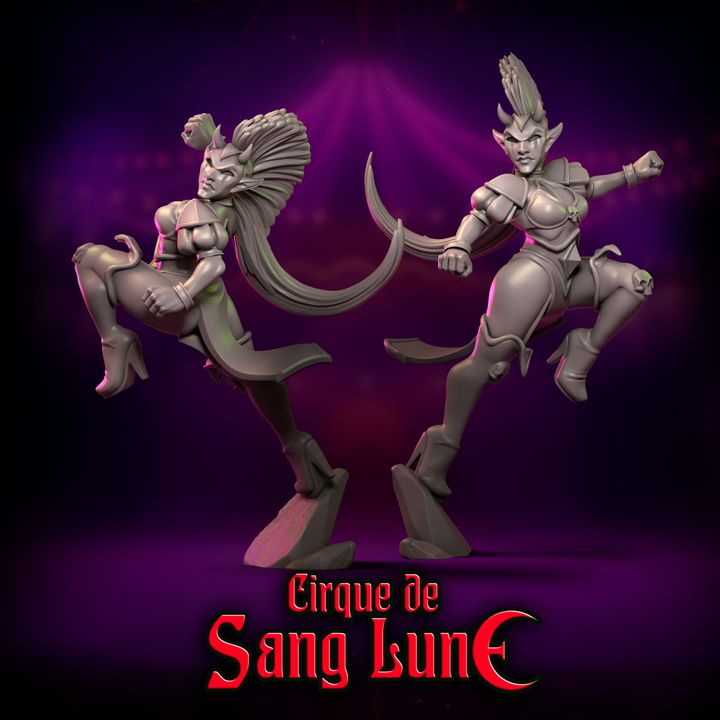 Cirque de Sang Lune Dark Elves Fantasy Football Team 20 High Quality Miniatures Punga