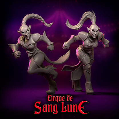 Cirque de Sang Lune Dark Elves Fantasy Football Team 20 High Quality Miniatures Punga