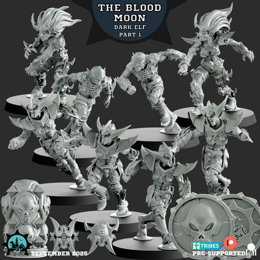 The Blood Moon – Dark Elves – High Quality Miniatures for Fantasy Football Game – Realm of Paths
