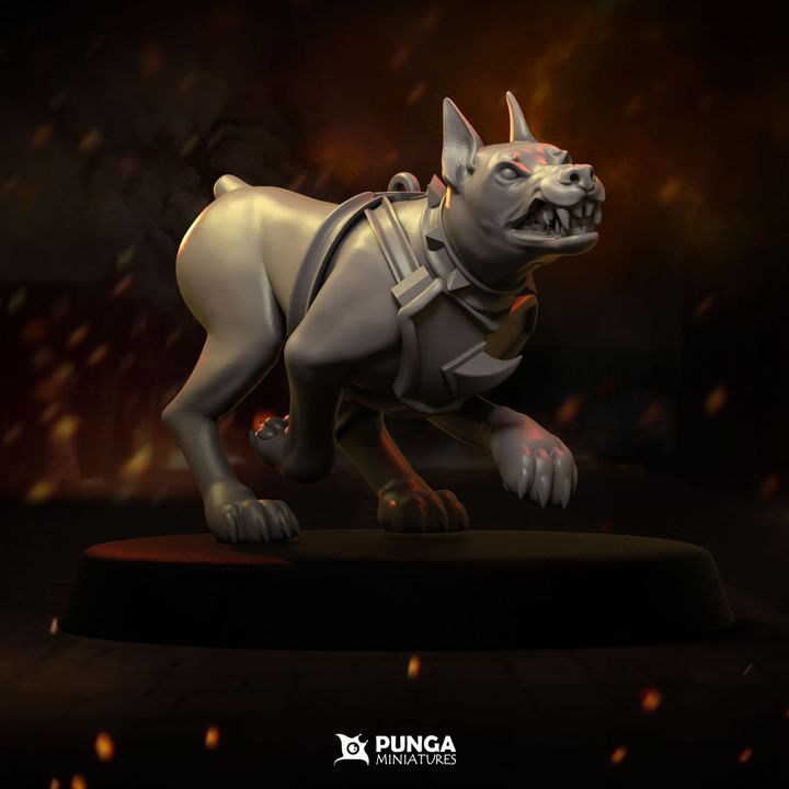 Warhounds Witch Hunter Warband Punga Miniatures