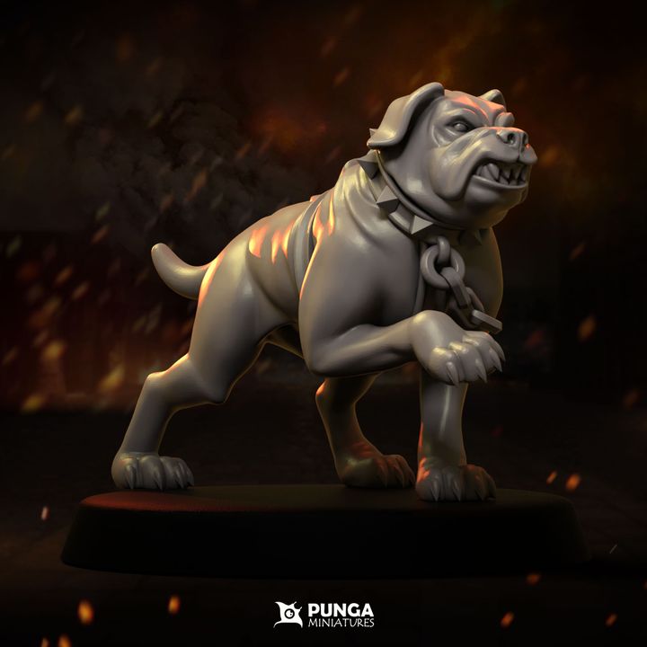 Warhounds Witch Hunter Warband Punga Miniatures