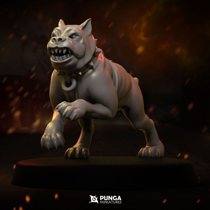 Warhounds Witch Hunter Warband Punga Miniatures