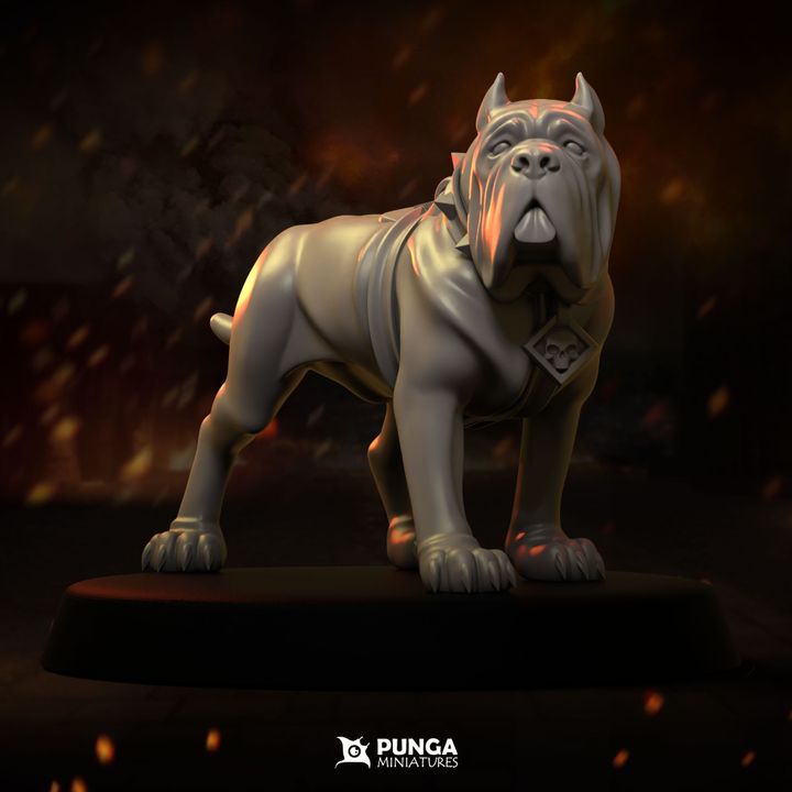 Warhounds Witch Hunter Warband Punga Miniatures