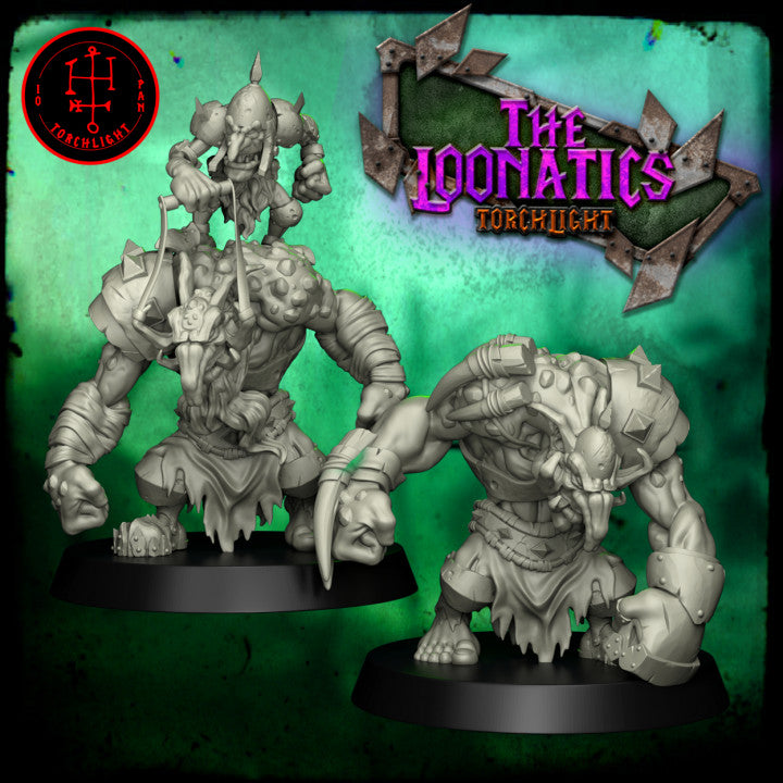The Loonatics – Goblins – High Quality Miniatures for Fantasy Football Game – Torchlight Models