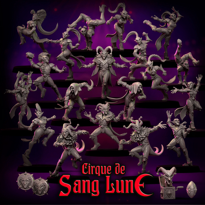 Cirque de Sang Lune Dark Elves Fantasy Football Team 20 High Quality Miniatures Punga