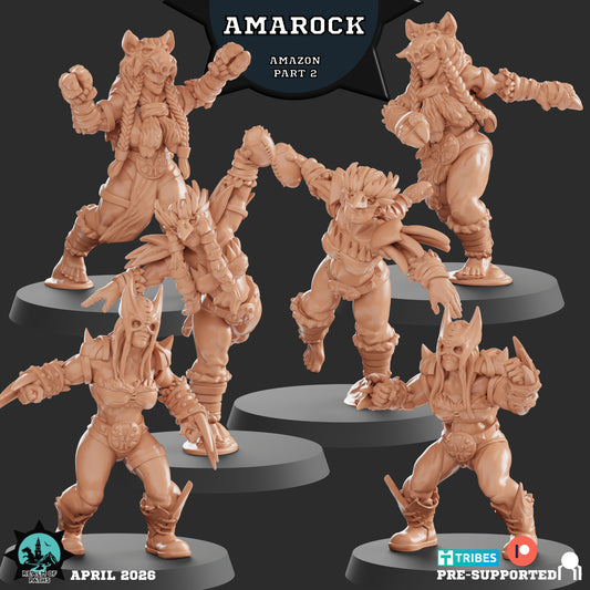 AMAROCK Amazon Team for Fantasy Football Tabletop Miniature Game Realm of paths - TheMajorLab