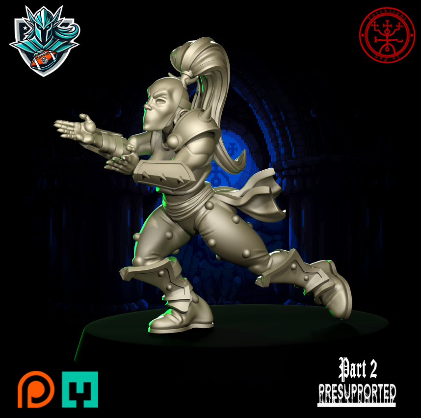 The Pro Eleven Alliance Team for Fantasy Football Miniature Tabletop Game Torchlight Models