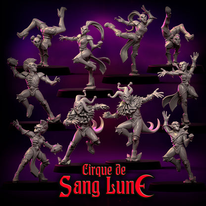 Cirque de Sang Lune Dark Elves Fantasy Football Team 20 High Quality Miniatures Punga