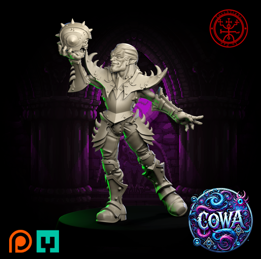 COWA Chaos Old World Alliance Team for Fantasy Football Miniature Tabletop Game Torchlight Models