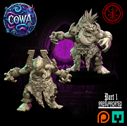 COWA Chaos Old World Alliance Team for Fantasy Football Miniature Tabletop Game Torchlight Models