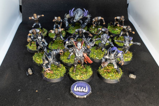 Painted Vampire Bloody Kingdom  Team + Feldherr Bag for Fantasy Football Realm of paths