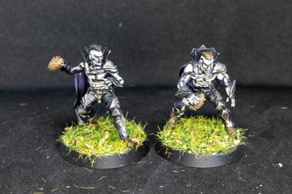 Painted Vampire Bloody Kingdom  Team + Feldherr Bag for Fantasy Football Realm of paths