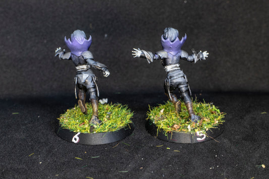 Painted Vampire Bloody Kingdom  Team + Feldherr Bag for Fantasy Football Realm of paths