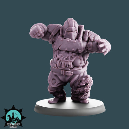 Infected Rotten Nurgle Fantasy Football Team 16 High Quality Miniatures Realm of paths