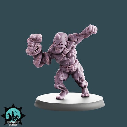 Infected Rotten Nurgle Fantasy Football Team 16 High Quality Miniatures Realm of paths