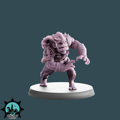 Infected Rotten Nurgle Fantasy Football Team 16 High Quality Miniatures Realm of paths